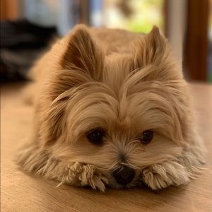 Meet your Posher, Christina